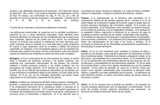 aniones, y por diferentes mecanismos de absorción. El N tiene dos formas
de absorción: NH4
+
y NO3
-
, y las raíces lo absorben principalmente a través
de flujo de masas. Los nutrimentos Ca, Mg, K, Fe, Cu, Zn y Mn se
absorben en forma de cationes divalentes o monovalentes, mientras que el
S, P, B, Mo y Cl en forma de aniones.
.
Función de los nutrientes y síntomas de deficiencia nutricional
Las deficiencias nutricionales se presentan por la cantidad insuficiente o
ausencia de uno o varios elementos esenciales. Cada elemento tiene
funciones definidas; los síntomas son las manifestaciones de la carencia de
esos nutrientes, algunos de los cuales son muy típicos. Es conveniente
conocer el síntoma que produce la deficiencia de cada elemento para
poder corregirla, llevar el nutriente a un nivel adecuado y evitar problemas
en cuanto a vigor, desarrollo, salud de la planta y calidad del producto
cosechado; sin embargo, no es conveniente esperar a que se presenten los
síntomas para suplirle una buena nutrición a las plantas, pues casi siempre
cuando los síntomas son evidentes ya podría ser tarde para corregirlos.
Nitrógeno: el N es componente de los aminoácidos, los cuales, al unirse
entre sí formarán las proteínas, enzimas y los ácidos nucleicos. Las
proteínas son compuestos estructurales de las plantas, las enzimas
catalizan o activan procesos químicos y los ácidos nucleicos son los
encargados del código genético. El N también es parte integral de la
clorofila, que es la molécula que propicia la fotosíntesis de las plantas, por
lo que promueve el crecimiento rápido de las plantas y el color verde de las
mismas. El N es uno de los minerales esenciales que tienen mayor
repercusión en el crecimiento y desarrollo de las plantas.
Fósforo: el fósforo es componente del ADN, ácidos nucleicos, fosfolípidos,
enzimas, y moléculas que almacenan energía metabólica como el ATP. El
P es componente estructural de la membrana celular, y participa en la
síntesis de proteínas y vitaminas. El P cumple una función importante en
el sistema de transferencia de energía dentro de la planta, participando en
procesos como la fotosíntesis y respiración. El P es esencial para el
crecimiento de raíces, favorece la floración y el cuaje de frutas y semillas,
acelera la maduración, y mejora el contenido de azúcares y aceites.
Potasio: el K generalmente es el elemento más abundante en la
composición mineral de las plantas después del N. Aunque el K no es
parte integral de la estructura vegetal de la planta, juega un papel clave en
muchos procesos fisiológicos del crecimiento vegetal. El K cumple una
función importante en la fotosíntesis como activador de muchas enzimas,
en la síntesis de proteínas, y en el metabolismo oxidativo. El K participa en
la regulación hídrica, mejorando la eficiencia en el consumo de agua al
aumentar la presión osmótica de las células, volviéndolas más turgentes.
El K también es vital para la translocación y almacenamiento de asimilados,
como azúcares y almidones. Los productos de la fotosíntesis (fotosintatos)
deben ser transportados de las hojas a los frutos y semillas. El K
promueve el transporte de los fotosintatos (principalmente carbohidratos y
aminoácidos) a través del floema.
Calcio: el Ca es muy importante para mantener la firmeza de tallos y
pecíolos en las plantas, y para regular la absorción de nutrimentos a través
de la membrana celular. Interviene en la división y elongación celular, en la
estructura y permeabilidad de la membrana celular, en el metabolismo del
N y en la translocación de carbohidratos además de que tiene que ver con
la estructura y permeabilidad de las membranas celulares. El Ca es parte
de la pared celular y actúa como agente cementante que une las paredes
celulares. Forma parte de pectatos de calcio en la lámina media que
actúan como agentes cementantes para incrementar la adhesión entre
células, y logrando una mejor estabilidad de las mismas. La deficiencia de
este elemento produce un pobre crecimiento radical, las pocas raíces se
oscurecen y pudren.
Hierro: el Fe se requiere para la síntesis de clorofila, y es activador de
muchos procesos bioquímicos como la respiración y la fotosíntesis. Forma
parte de muchas muchos sistemas enzimáticos que intervienen en
procesos de oxidación-reducción dentro de las células
18
 