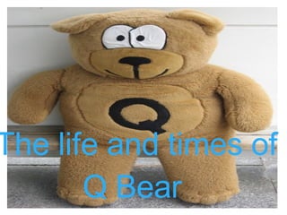 The life and times of  Q Bear 