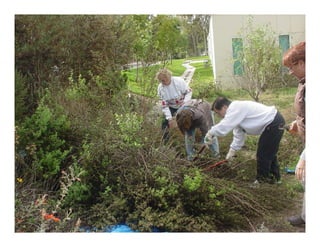 Q brickellia californica