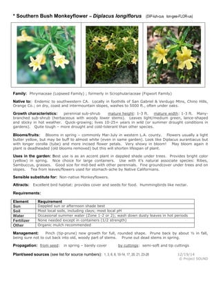 * Southern Bush Monkeyflower – Diplacus longiflorus (DIP-luh-cus lon-gee-FLOR-us)
Family: Phrymaceae (Lopseed Family) ; formerly in Scrophulariaceae (Figwort Family)
Native to: Endemic to southwestern CA. Locally in foothills of San Gabriel & Verdugo Mtns, Chino Hills,
Orange Co.; on dry, coast and intermountain slopes, washes to 5000 ft., often under oaks.
Growth characteristics: perennial sub-shrub mature height: 1-3 ft. mature width: 1-3 ft. Many-
branched sub-shrub (herbaceous with woody lower stems). Leaves light/medium green, lance-shaped
and sticky in hot weather. Quick-growing; lives 10-25+ years in wild (or summer drought conditions in
gardens). Quite tough – more drought and cold-tolerant than other species.
Blooms/fruits: Blooms in spring – commonly Mar-July in western L.A. county. Flowers usually a light
butter yellow, but may be buff to almost white (even in same garden). Look like Diplacus aurantiacus but
with longer corolla (tube) and more incised flower petals. Very showy in bloom! May bloom again it
plant is deadheaded (old blooms removed) but this will shorten lifespan of plant.
Uses in the garden: Best use is as an accent plant in dappled shade under trees. Provides bright color
(yellow) in spring. Nice choice for large containers. Use with it’s natural associate species: Ribes,
Sambuccus, grasses. Good size for mid-bed with other perennials. Fine groundcover under trees and on
slopes. Tea from leaves/flowers used for stomach-ache by Native Californians.
Sensible substitute for: Non-native Monkeyflowers.
Attracts: Excellent bird habitat: provides cover and seeds for food. Hummingbirds like nectar.
Requirements:
Element Requirement
Sun Dappled sun or afternoon shade best
Soil Most local soils, including clays; most local pH
Water Occasional summer water (Zone 1-2 or 2); wash down dusty leaves in hot periods
Fertilizer None needed except in containers (1/2 strength)
Other Organic mulch recommended
Management: Pinch (tip-prune) new growth for full, rounded shape. Prune back by about ½ in fall,
being sure not to cut back into old, woody part of stems. Prune out dead stems in spring.
Propagation: from seed: in spring – barely cover by cuttings: semi-soft and tip cuttings
Plant/seed sources (see list for source numbers): 1, 3, 6, 8, 10-14, 17, 20, 21, 23-28 12/19/14
© Project SOUND
 