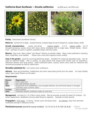 Q encelia californica | PDF