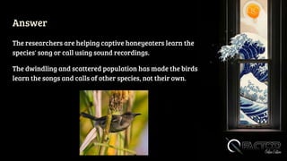 Answer
The researchers are helping captive honeyeaters learn the
species' song or call using sound recordings.
The dwindling and scattered population has made the birds
learn the songs and calls of other species, not their own.
 