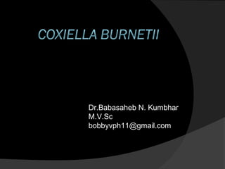 Dr.Babasaheb N. Kumbhar
M.V.Sc
bobbyvph11@gmail.com
 