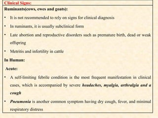 Clinical Signs:
Ruminants(cows, ewes and goats):
• It is not recommended to rely on signs for clinical diagnosis
• In ruminants, it is usually subclinical form
• Late abortion and reproductive disorders such as premature birth, dead or weak
offspring
• Metritis and infertility in cattle
In Human:
Acute:
• A self-limiting febrile condition is the most frequent manifestation in clinical
cases, which is accompanied by severe headaches, myalgia, arthralgia and a
cough
• Pneumonia is another common symptom having dry cough, fever, and minimal
respiratory distress
 