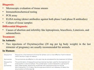 Diagnosis:
• Microscopic evaluation of tissue smears
• Immunohistochemical testing
• PCR assay
• ELISA testing (detect antibodies against both phase I and phase II antibodies)
• Culture of tissue samples
Differential Diagnosis:
• Causes of abortion and infertility like leptospirosis, brucellosis, Listeriosis, and
salmonellosis.
Treatment:
In Animals:
• Two injections of Oxytetracycline (20 mg per kg body weight) in the last
trimester of pregnancy are usually recommended for animals
In Human:
 
