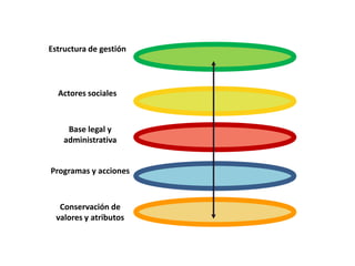 Estructura  legal y administrativaEstructura de gestiónActores socialesBase legal y administrativaProgramas y accionesConservación de valores y atributos