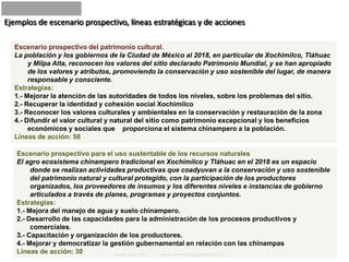 Ejemplos de escenario prospectivo, líneas estratégicas y de accionesEscenario prospectivo del patrimonio cultural.La población y los gobiernos de la Ciudad de México al 2018, en particular de Xochimilco, Tláhuac y Milpa Alta, reconocen los valores del sitio declarado Patrimonio Mundial, y se han apropiado de los valores y atributos, promoviendo la conservación y uso sostenible del lugar, de manera responsable y consciente.Estrategias:1.- Mejorar la atención de las autoridades de todos los niveles, sobre los problemas del sitio. 2.- Recuperar la identidad y cohesión social Xochimilco3.- Reconocer los valores culturales y ambientales en la conservación y restauración de la zona 4.- Difundir el valor cultural y natural del sitio como patrimonio excepcional y los beneficios económicos y sociales que    proporciona el sistema chinampero a la población.Líneas de acción: 58Escenario prospectivo para el uso sustentable de los recursos naturalesEl agro ecosistema chinampero tradicional en Xochimilco y Tláhuac en el 2018 es un espacio donde se realizan actividades productivas que coadyuvan a la conservación y uso sostenible del patrimonio natural y cultural protegido, con la participación de los productores organizados, los proveedores de insumos y los diferentes niveles e instancias de gobierno articulados a través de planes, programas y proyectos conjuntos.Estrategias:1.- Mejora del manejo de agua y suelo chinampero.2.- Desarrollo de las capacidades para la administración de los procesos productivos y comerciales.3.- Capacitación y organización de los productores.4.- Mejorar y democratizar la gestión gubernamental en relación con las chinampasLíneas de acción: 30pux@unesco.orgproyectoxochimilco@yahoo.com.mx