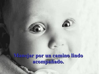 Manejar por un camino lindo acompañado. 