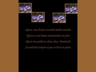 Quero, teus braços tecendo minha morada Quero a casa limpa insinuando teu jeito Quero tua palavra clara, doce, iluminada A acalentar sempre o que eu levo no peito. 
