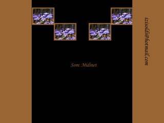 [email_address] Som: Midinet 