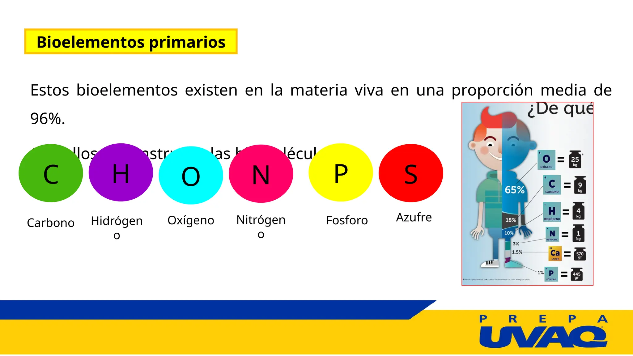 Chonps Bioelementos COMPONENTES QUÍMICOS DE LOS SERES VIVOS: BIOELEMENTOS | PPTX