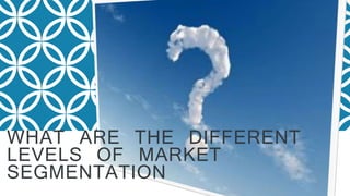 WHAT ARE THE DIFFERENT
LEVELS OF MARKET
SEGMENTATION
 