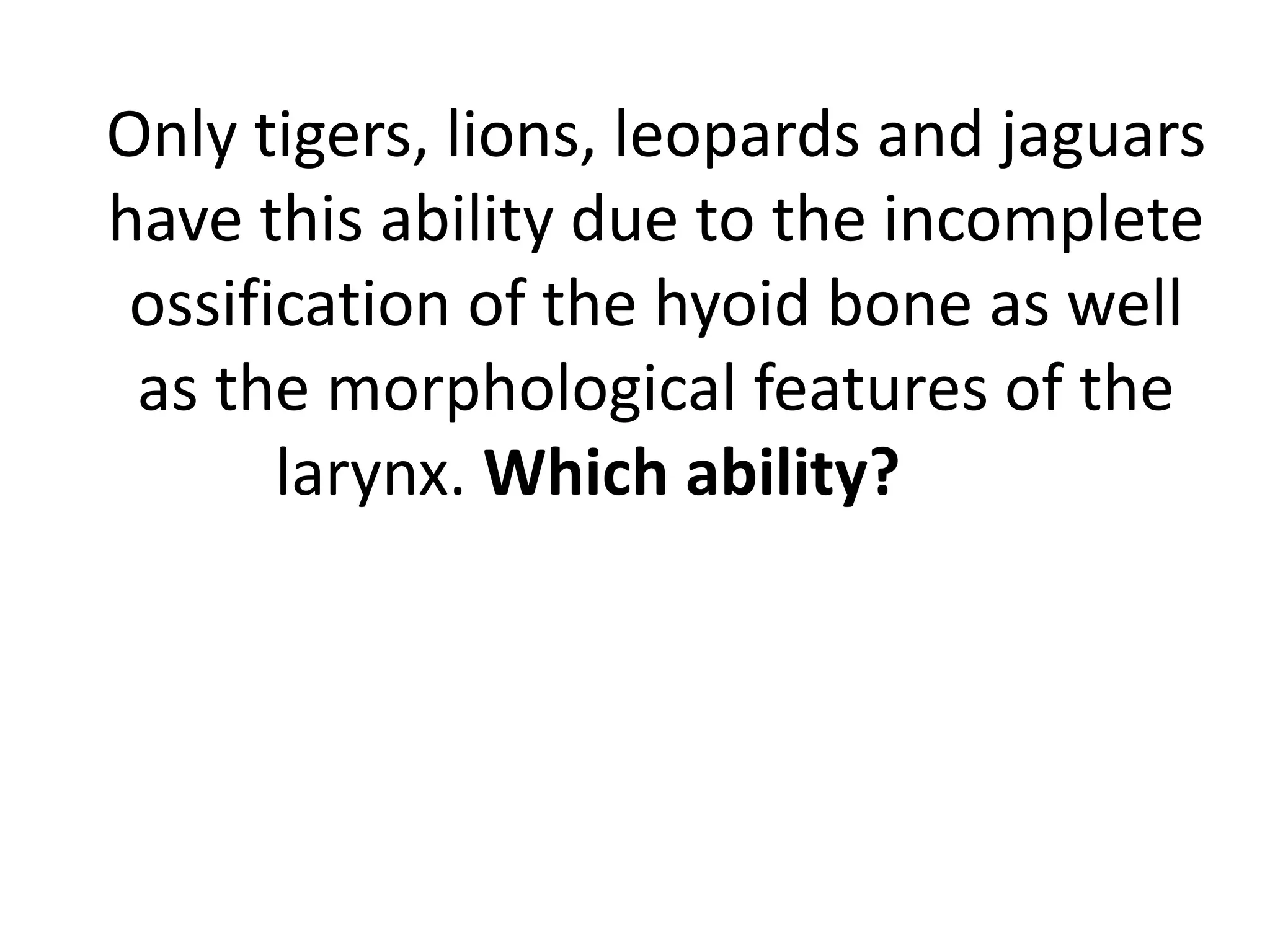 Only tigers, lions, leopards and jaguars
have this ability due to the incomplete
ossification of the hyoid bone as well
as the morphological features of the
larynx. Which ability?
 