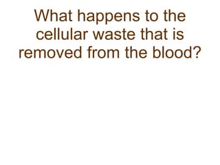 What happens to the cellular waste that is removed from the blood? 