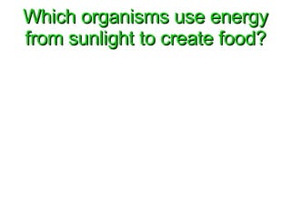 Which organisms use energy from sunlight to create food? 