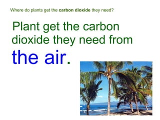 Where do plants get the  carbon dioxide  they need? Plant get the carbon dioxide they need from  the air . 