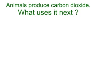 Animals produce carbon dioxide. What uses it next ? 