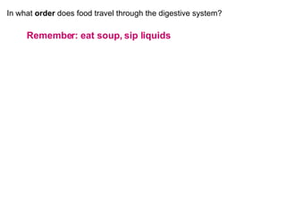 In what  order  does food travel through the digestive system? Remember: eat soup, sip liquids Esophagus Stomach Small intestine Large intestine  (colon) 