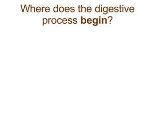 Where does the digestive process  begin ? 