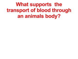 What supports  the transport of blood through an animals body? 