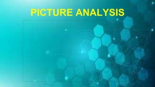 PICTURE ANALYSIS
 