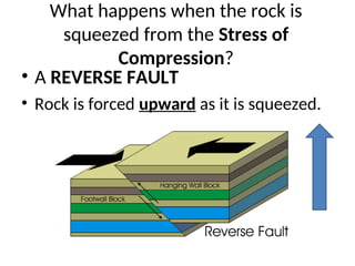 What happens when the rock is
squeezed from the Stress of
Compression?
• A REVERSE FAULT
• Rock is forced upward as it is squeezed.
 