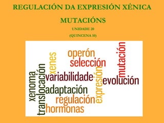 REGULACIÓN DA EXPRESIÓN XÉNICA
MUTACIÓNS
UNIDADE 20
(QUINCENA 10)
 
