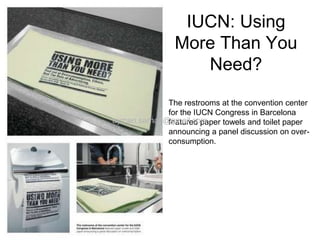 Advertising stunts and ideas Q1|2008