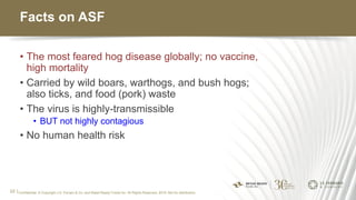 Facts on ASF
• The most feared hog disease globally; no vaccine,
high mortality
• Carried by wild boars, warthogs, and bus...