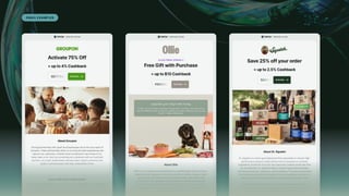 Minty Business Overview for their service