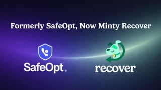 Minty Business Overview for their service