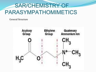 SAR/CHEMISTRY OF
PARASYMPATHOMIMETICS
General Structure
 