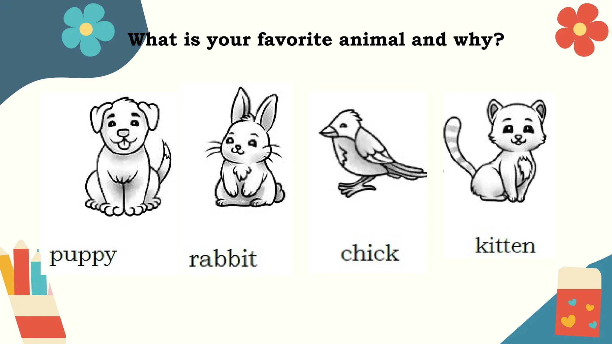 What is your favorite animal and why?
 