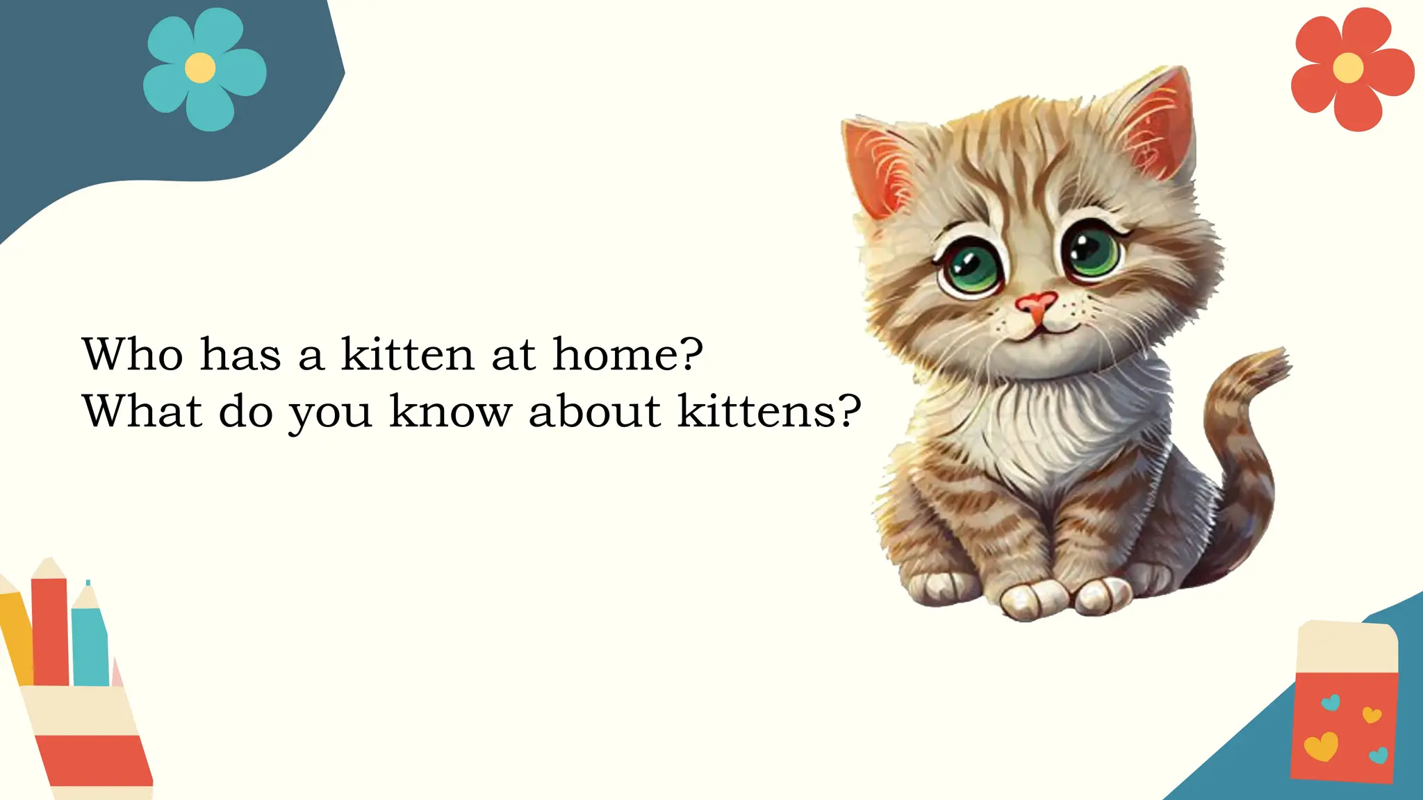 Who has a kitten at home?
What do you know about kittens?
 