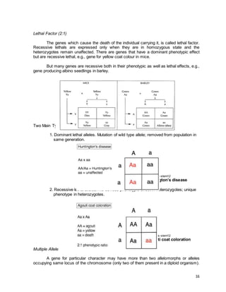 Lethality Genetics Q1 general biology 2 mr. pabores | DOC