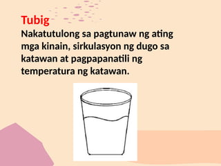 Tubig
Nakatutulong sa pagtunaw ng ating
mga kinain, sirkulasyon ng dugo sa
katawan at pagpapanatili ng
temperatura ng katawan.
 