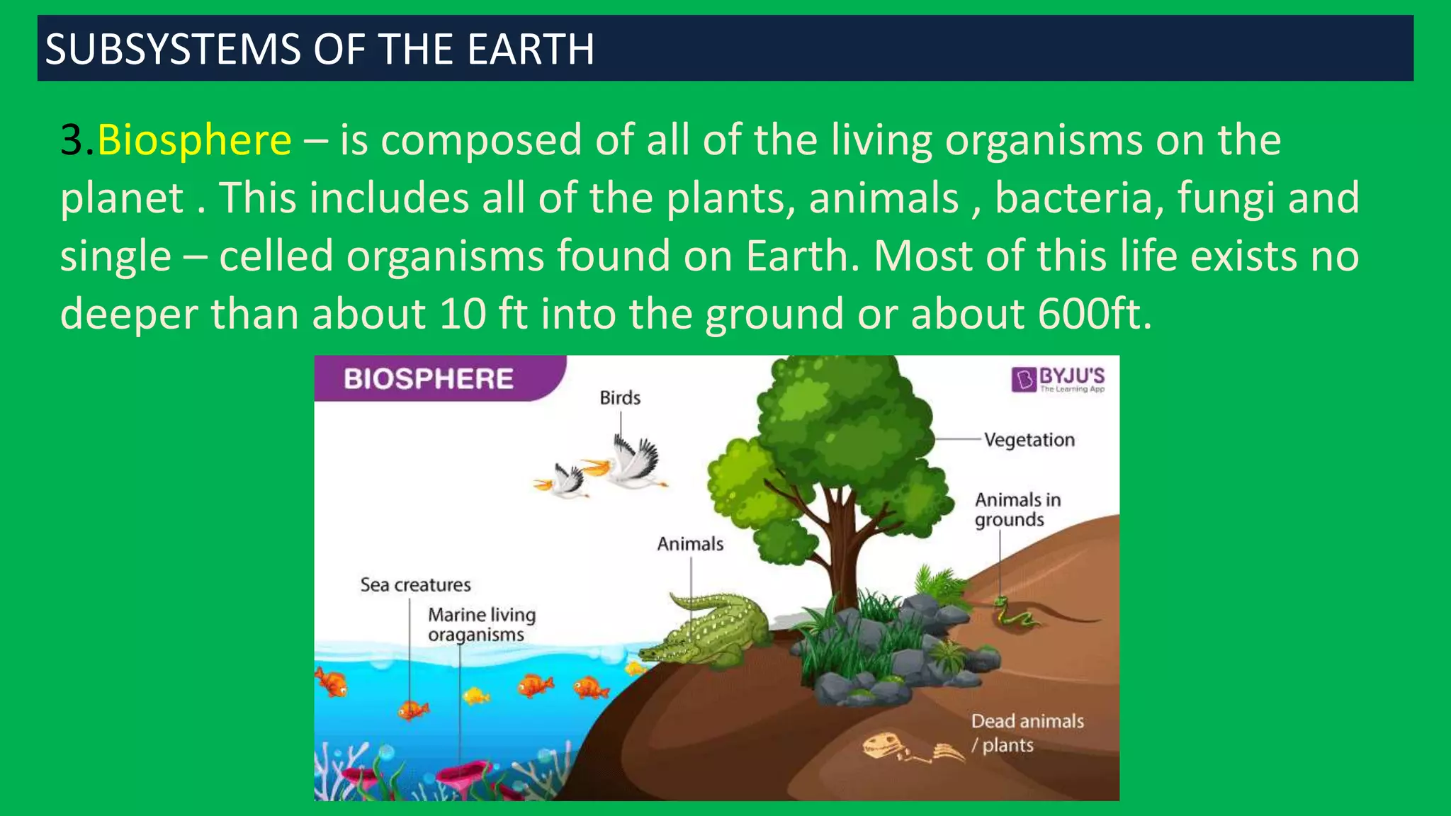 3.Biosphere – is composed of all of the living organisms on the
planet . This includes all of the plants, animals , bacteria, fungi and
single – celled organisms found on Earth. Most of this life exists no
deeper than about 10 ft into the ground or about 600ft.
SUBSYSTEMS OF THE EARTH
 