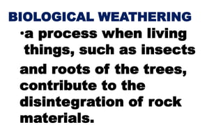 BIOLOGICAL WEATHERING
•a process when living
things, such as insects
and roots of the trees,
contribute to the
disintegration of rock
materials.
 