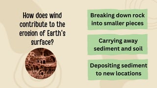 Depositing sediment
to new locations
Breaking down rock
into smaller pieces
Carrying away
sediment and soil
 