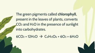 The green pigments called chlorophyll,
present in the leaves of plants, converts
CO2 and H2O in the presence of sunlight
into carbohydrates.
6CO2 + 12H2O  C6H12O6 + 6O2 + 6H2O
 