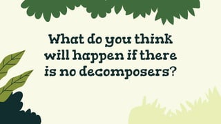 What do you think
will happen if there
is no decomposers?
 