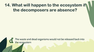14. What will happen to the ecosystem if
the decomposers are absence?
d The waste and dead organisms would not be released back into
the ecosystem
 