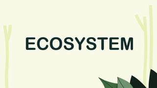 ECOSYSTEM
 
