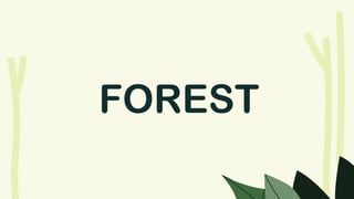FOREST
 
