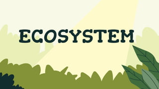 ECOSYSTEM
 