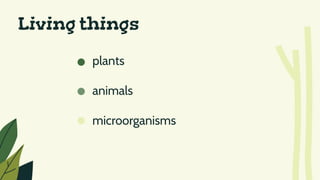 plants
animals
microorganisms
Living things
 