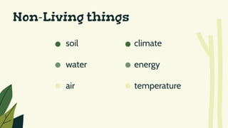 soil climate
water energy
air temperature
Non-Living things
 