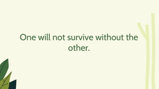 One will not survive without the
other.
 