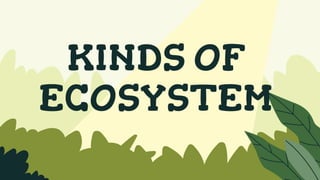 KINDS OF
ECOSYSTEM
 