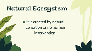 Natural Ecosystem
it is created by natural
condition or no human
intervention.
 